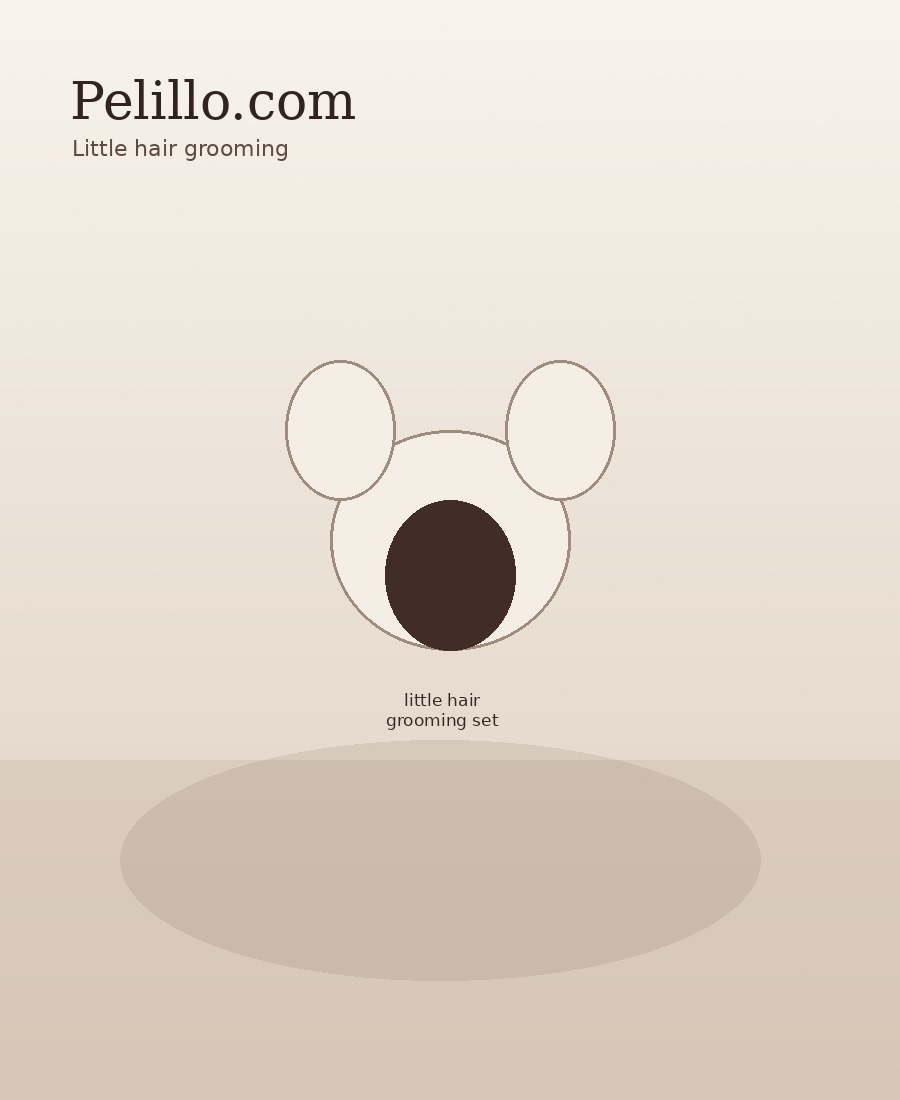 Pet Grooming product concept for Pelillo.com